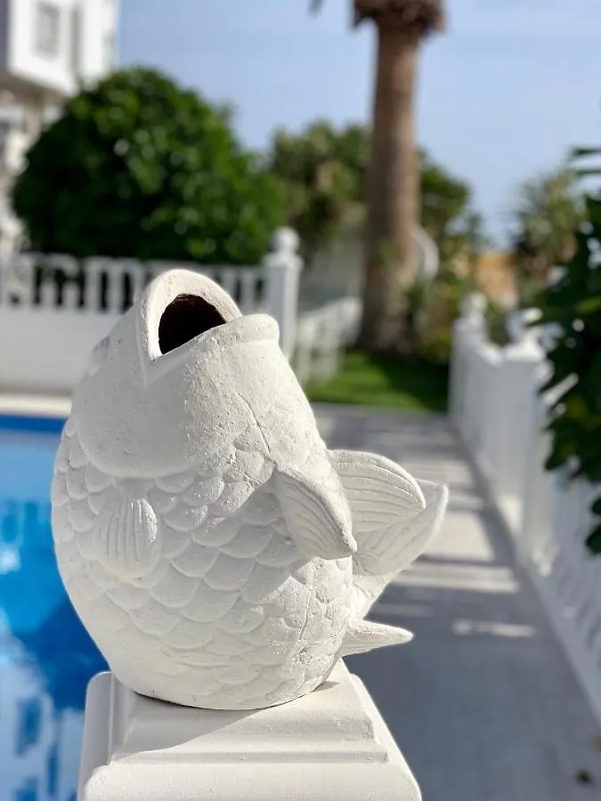 Villa Blanca Callao Salvaje